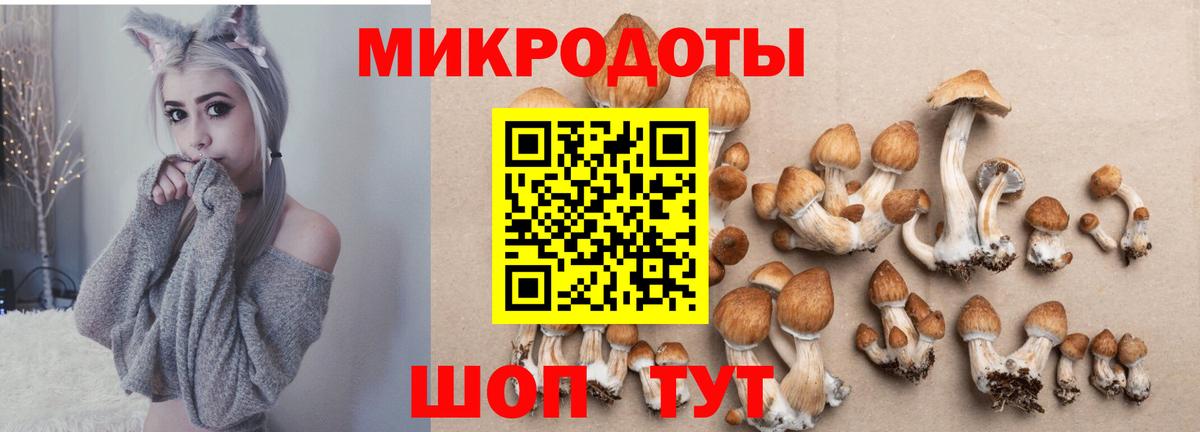 Галлюциногенные грибы мицелий Ирбит