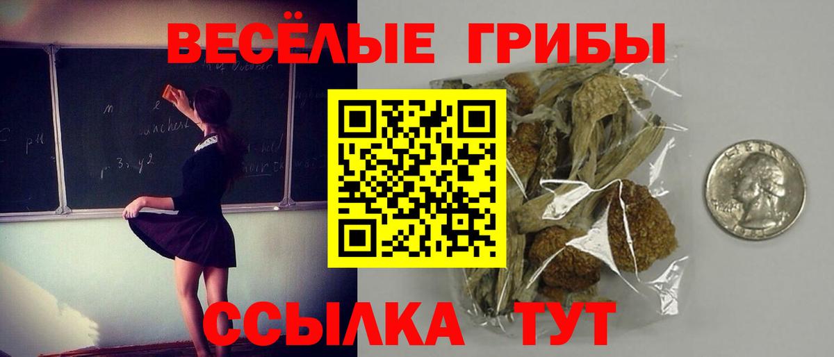 продажа наркотиков  Вход с VPN  Ирбит  Галлюциногенные грибы MAGIC MUSHROOMS 